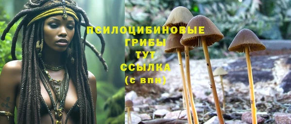 мдма Белокуриха