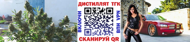 блэк спрут tor  Новосибирск  ТГК концентрат 